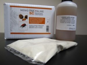 Lotta biologica a Paysandisia della palme sul lago di Garda