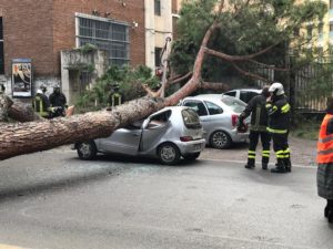 certificazioni agronomo
