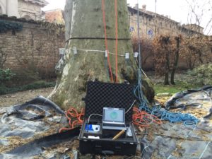 certificazioni agronomo certificazioni agronomo