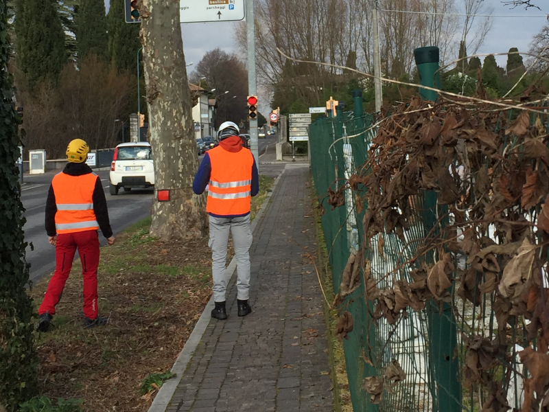 Censimento del verde Lago di Garda Censimento del verde Lago di Garda