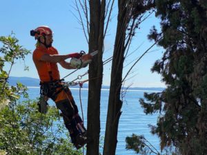 TreeClimbing Lago di Garda